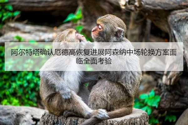 阿尔特塔确认厄德高恢复进展阿森纳中场轮换方案面临全面考验